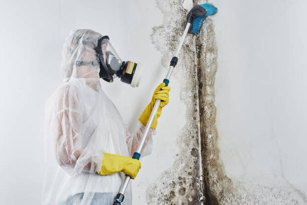 Best Post-Remediation Services in Highgrove, CA